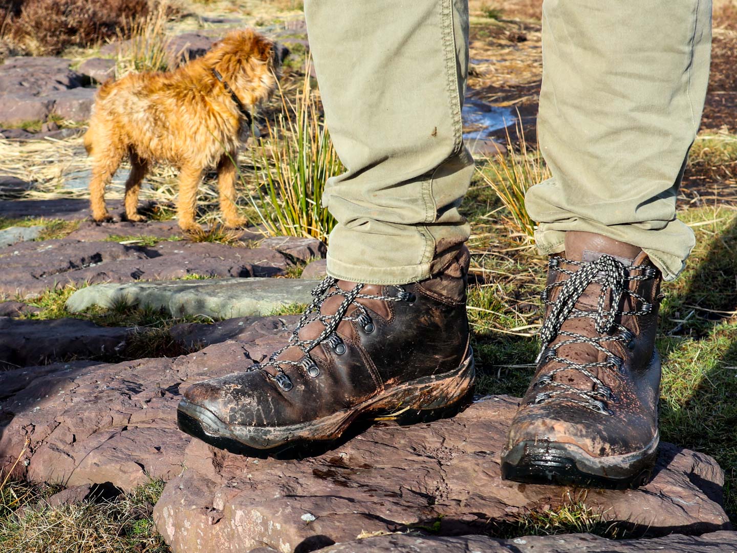 Scarpa Terra GTX
