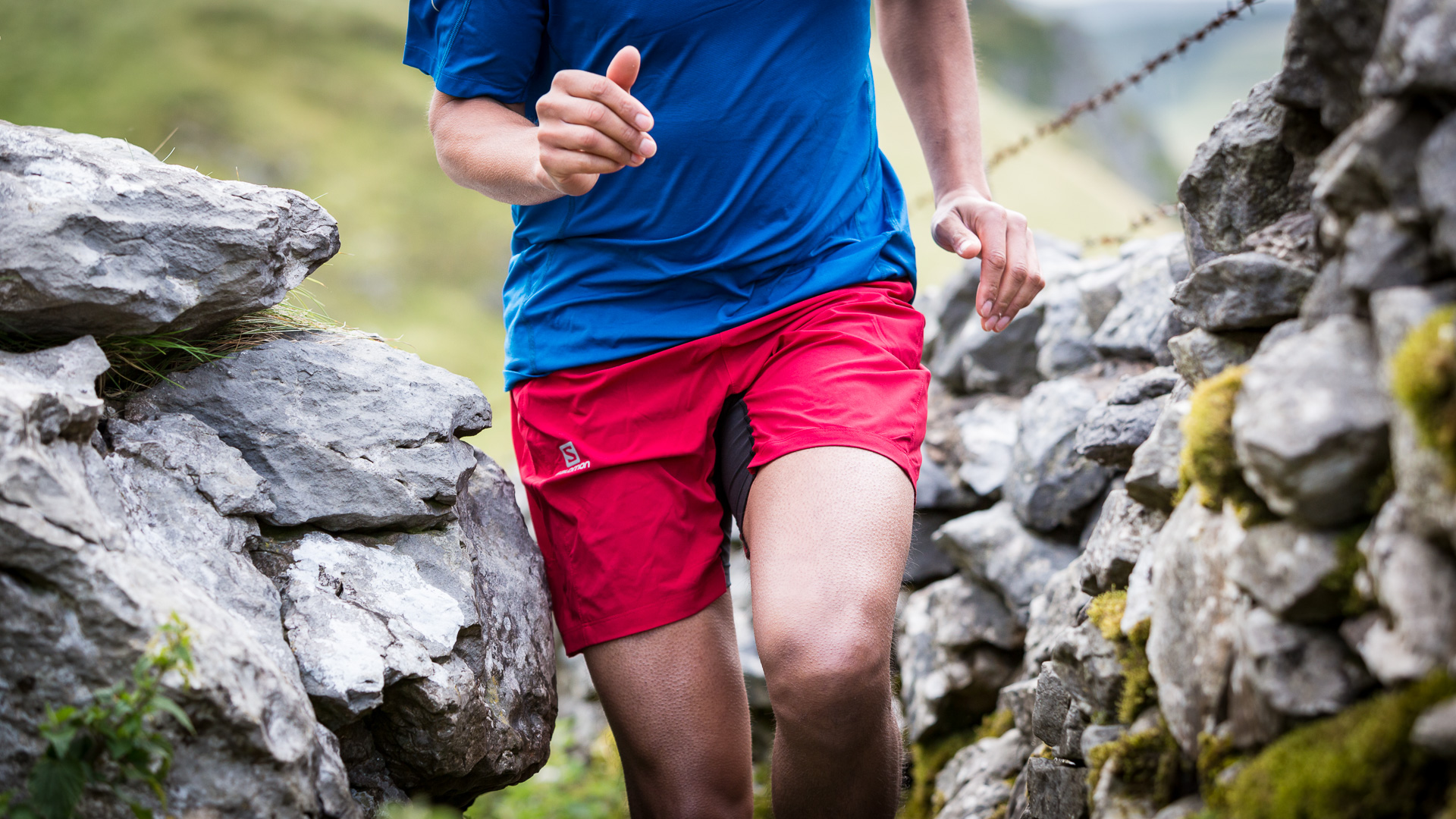 Salomon Fast Wing TW Shorts