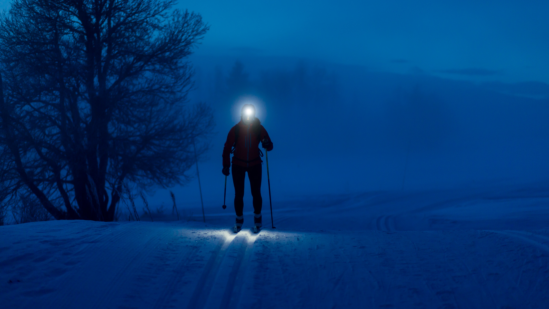 LEDLENSER XEO 19R ヘッドランプ　レアカラーホワイト LEDLENSER XEO 19R ヘッドランプ レアカラーホワイト Ledlenser