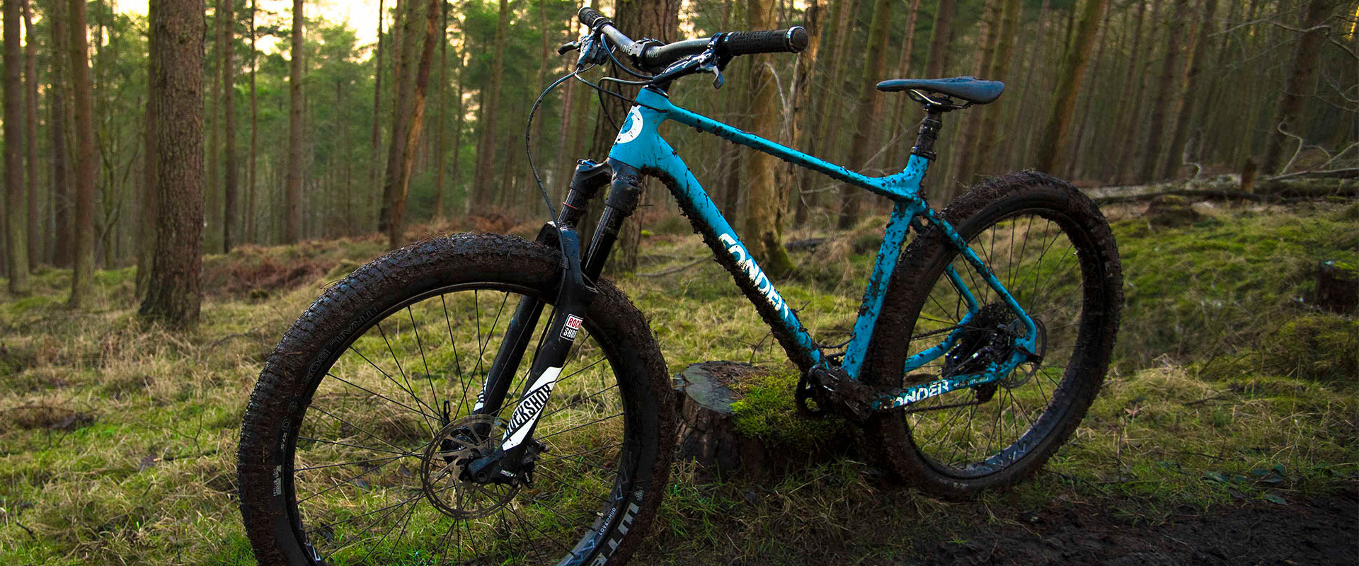 Sonder Transmitter Carbon in blue, in the woods