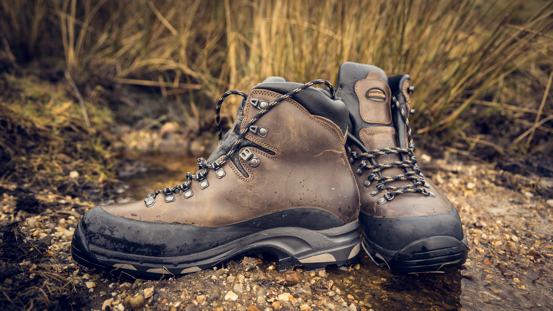 Zamberlan 1006 Vioz Plus GTX boots