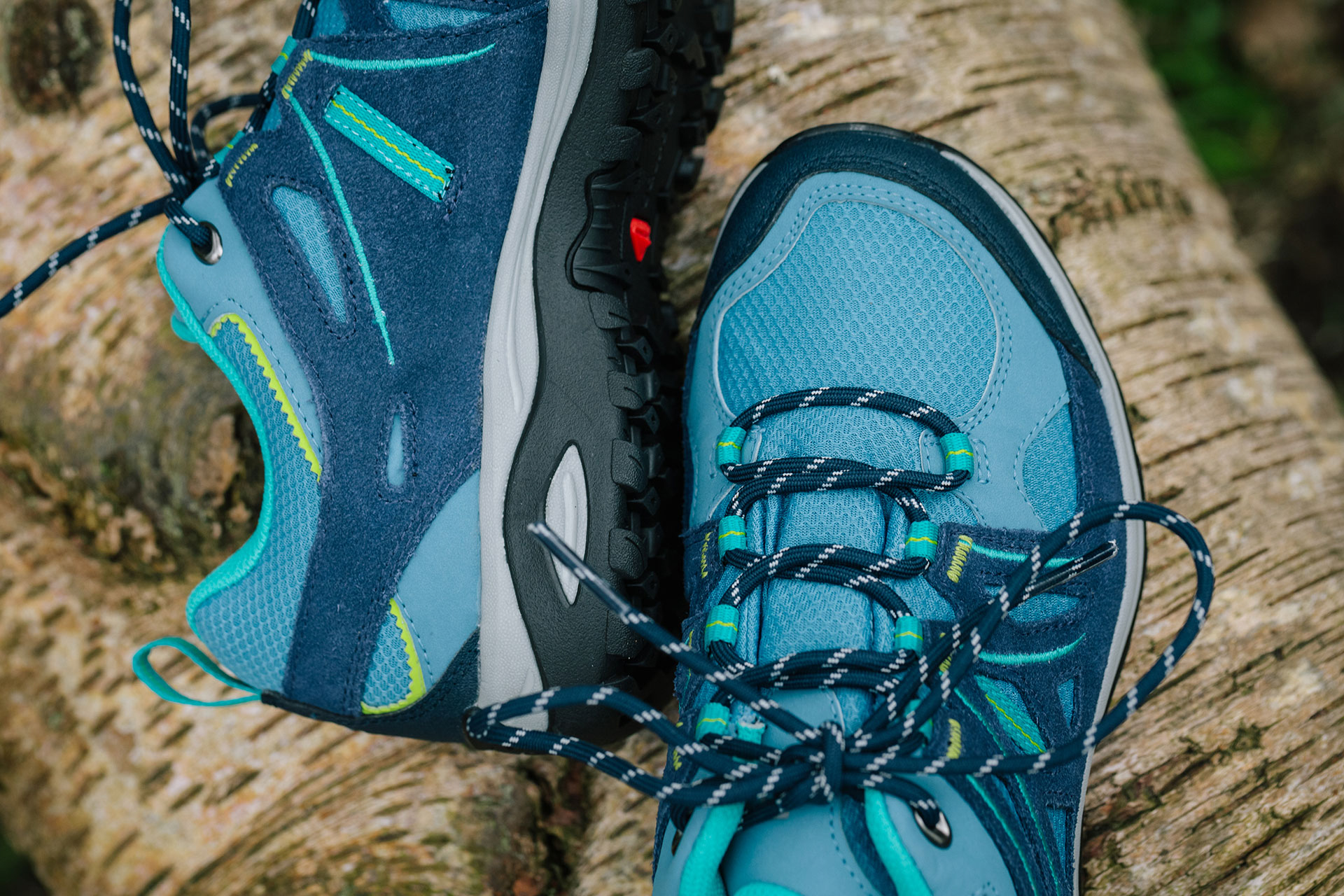 saromon　ELLIPSE 2 GTX W 23.5 Salomon Women's Ellipse 2 Gortex Hiking Shoe - Black | Tiso