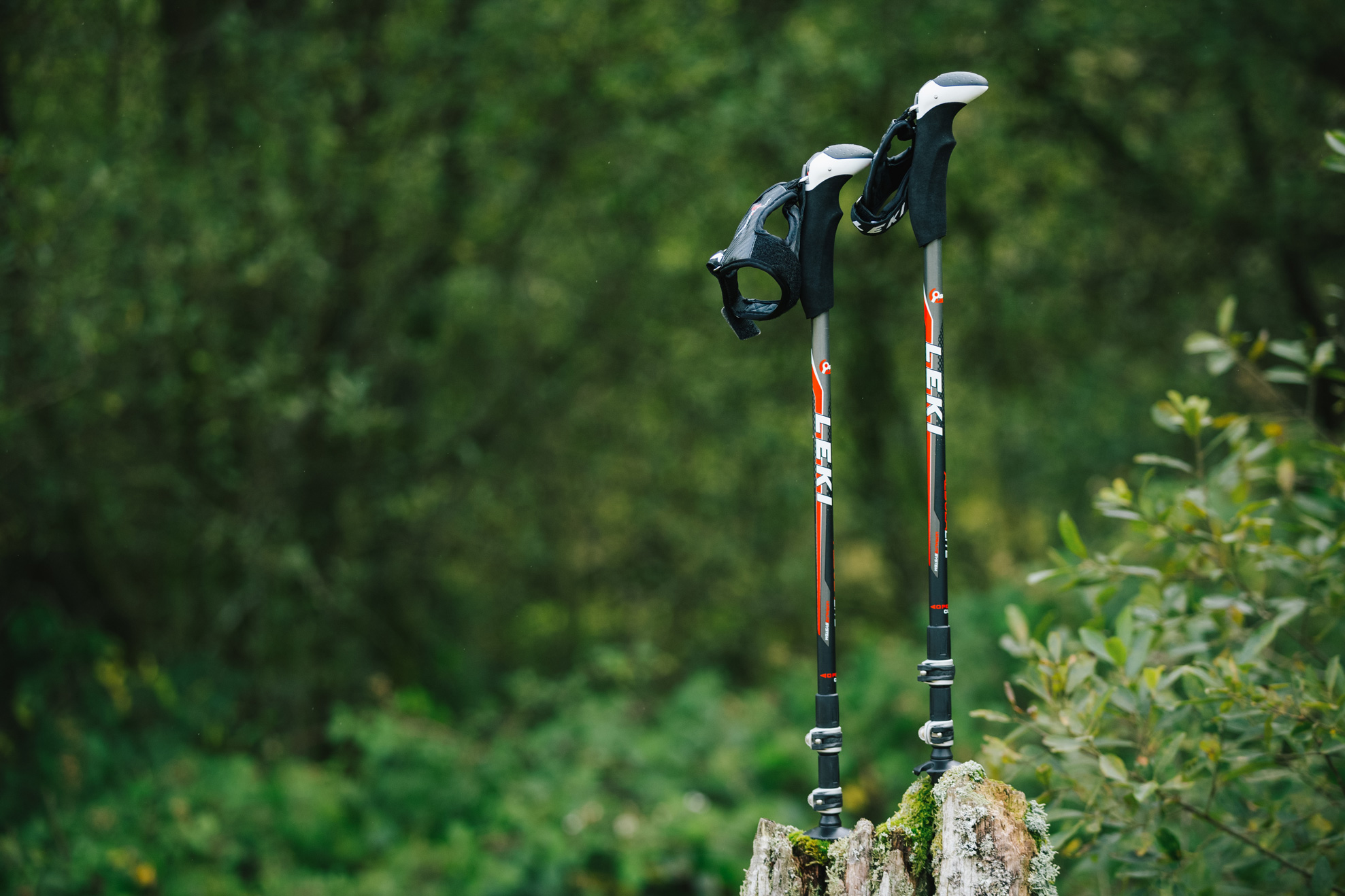 leki-albula-lite-v-review-cj175520