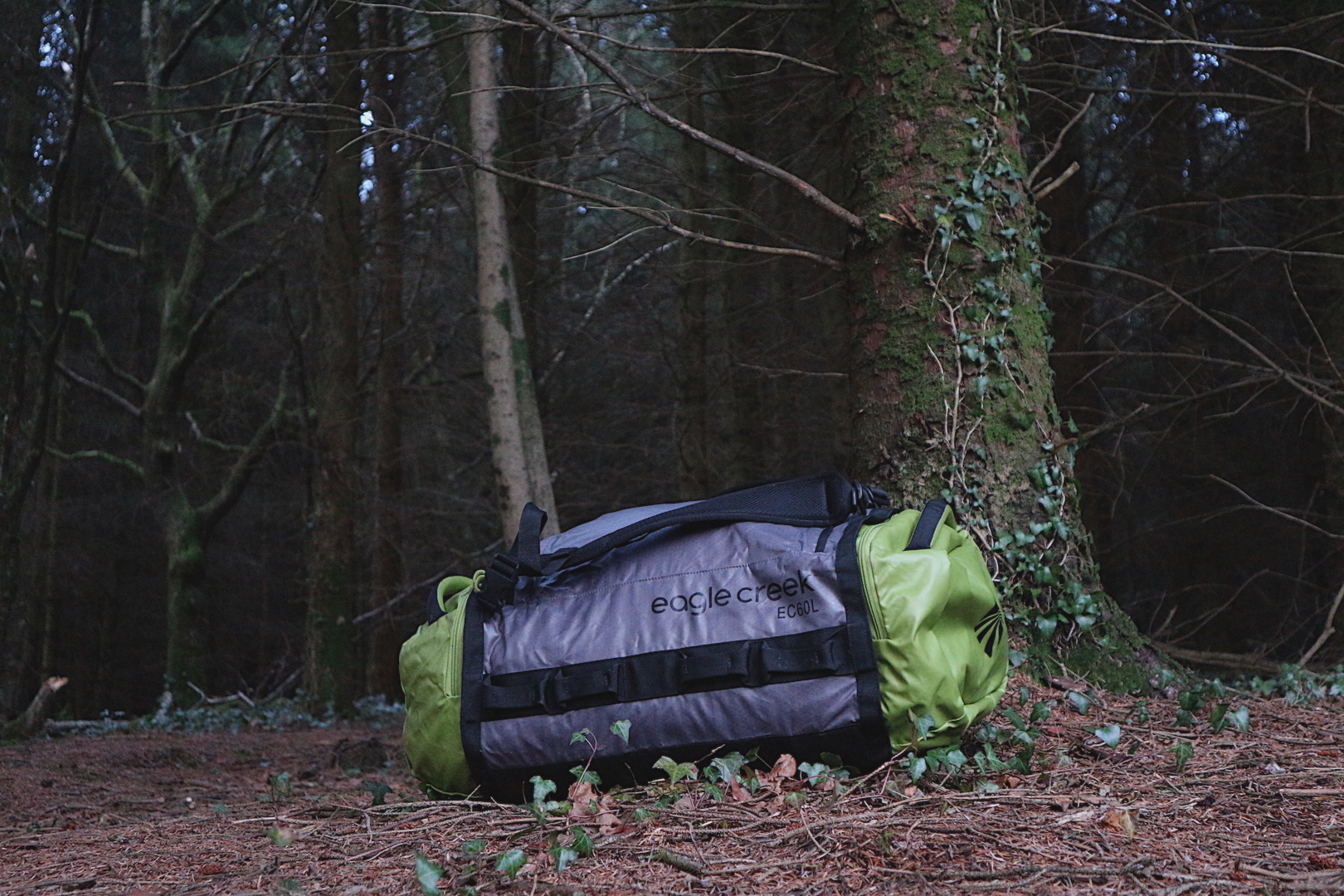 Eagle Creek Cargo Hauler Duffel
