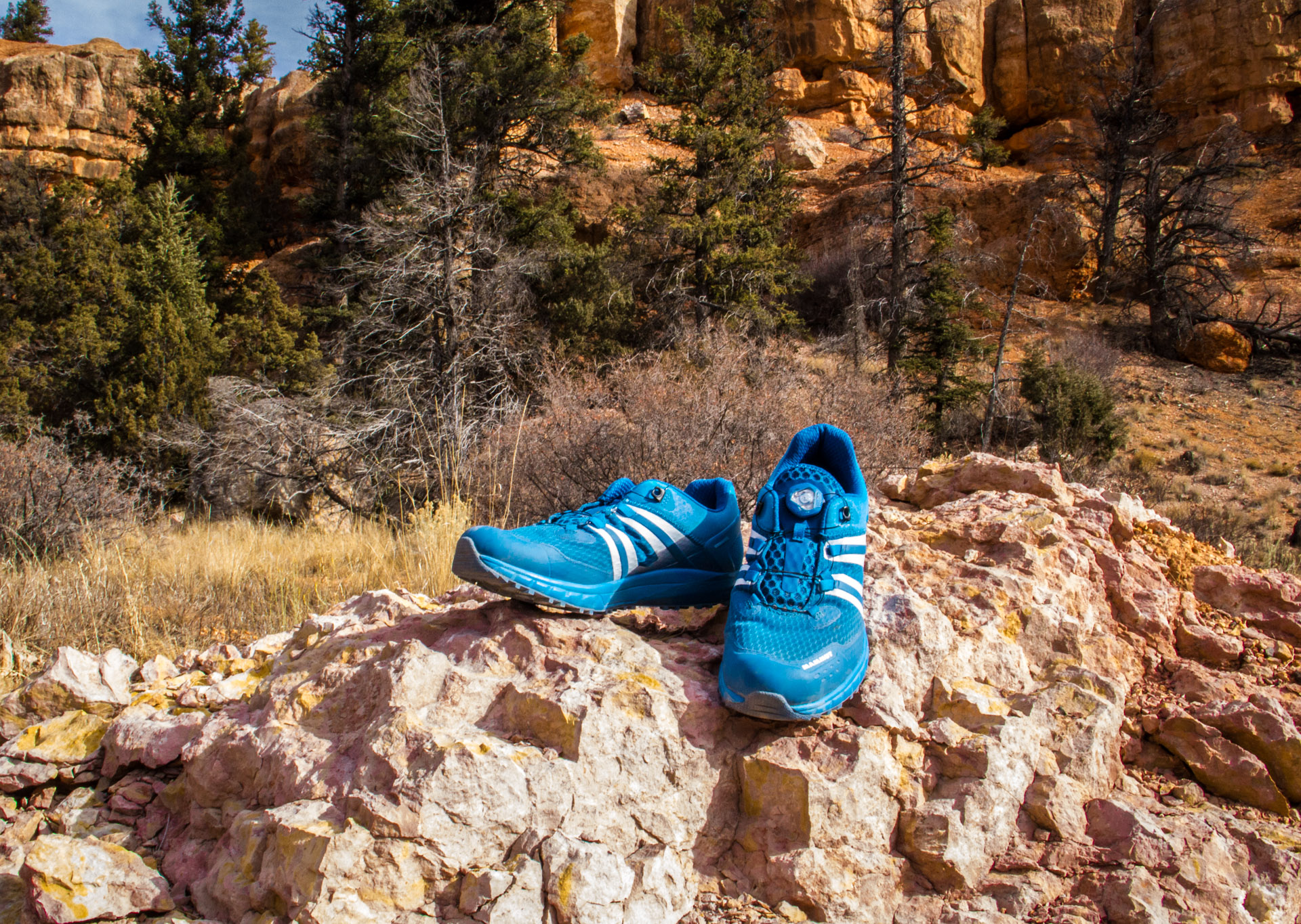 チャーリー マムート  MTR 201-ll Boa Low Men Mammut MTR 201-II Boa Low Trail Running Shoes | Revi
