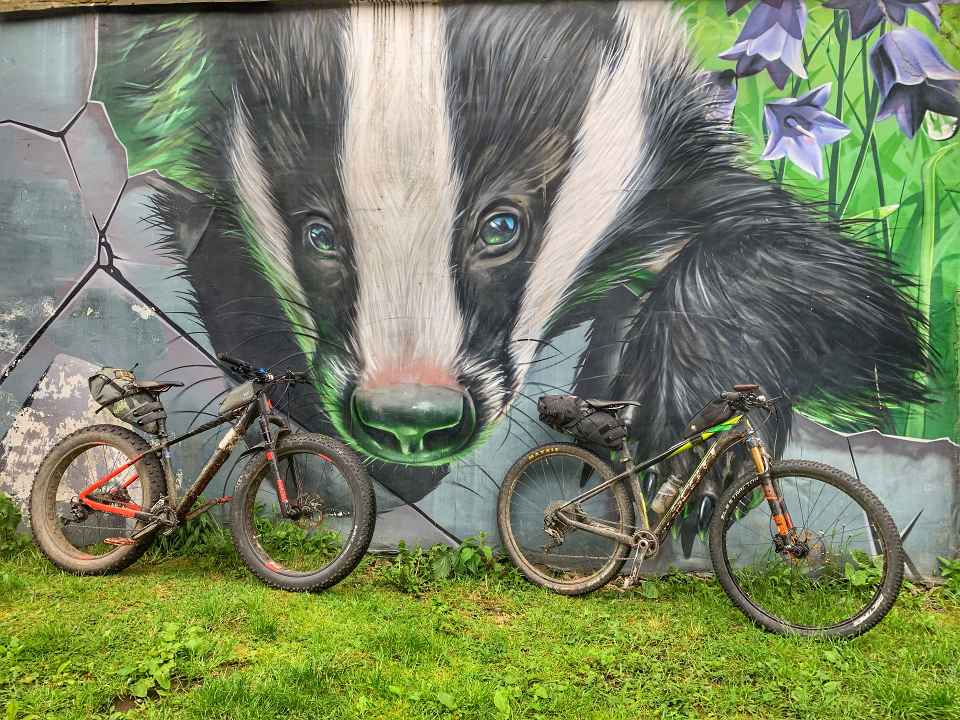 sophie-nicholson-badger-divide
