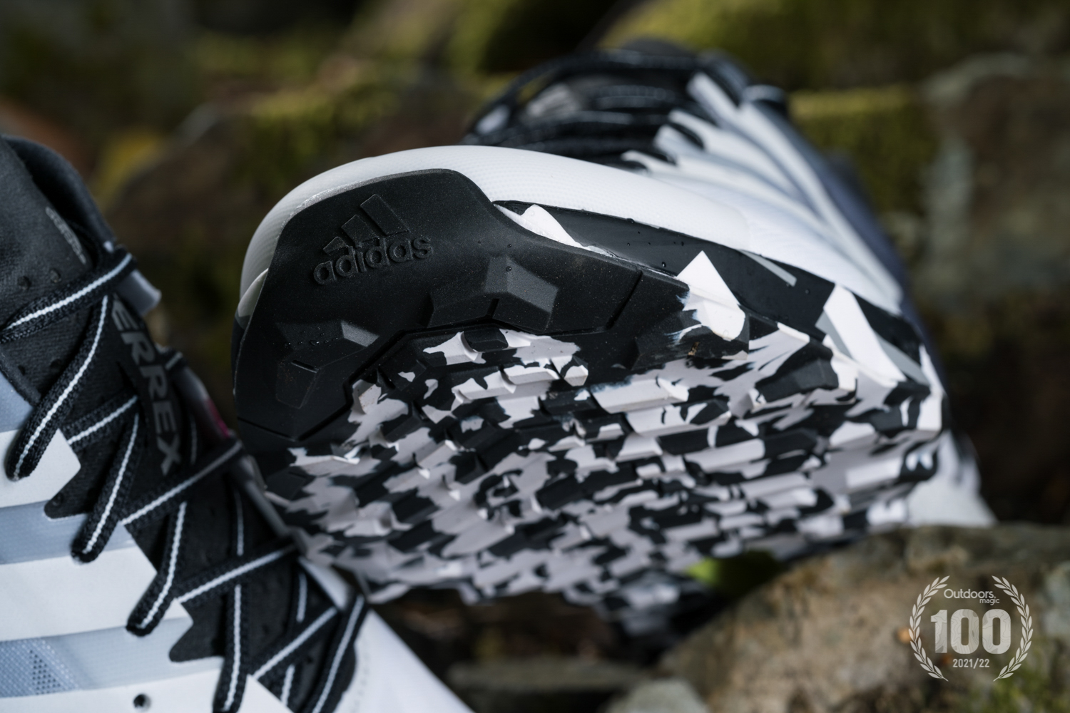 Adidas Terrex Speed Ultra Review