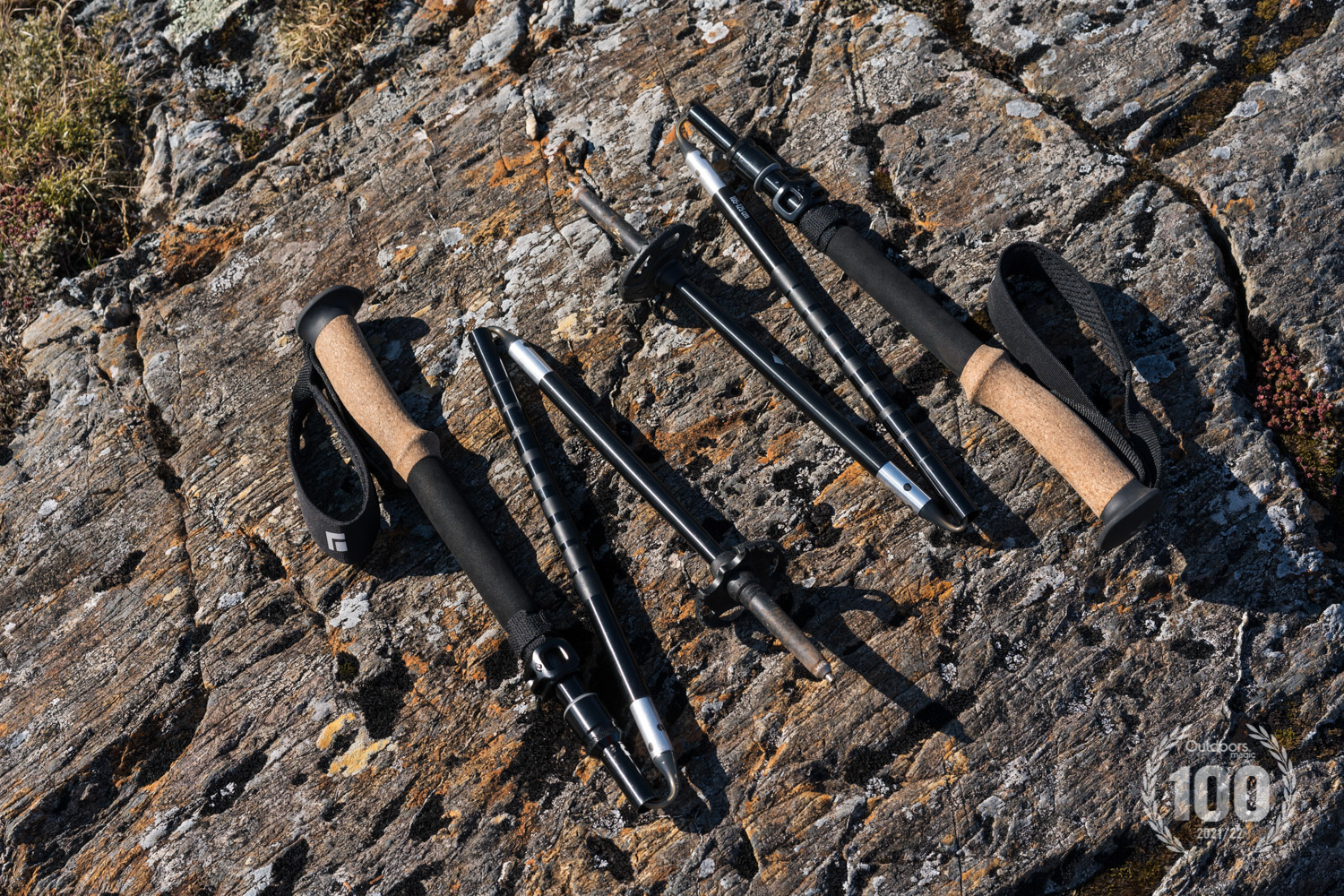 Black Diamond Alpine FLZ Z-Poles | Review |