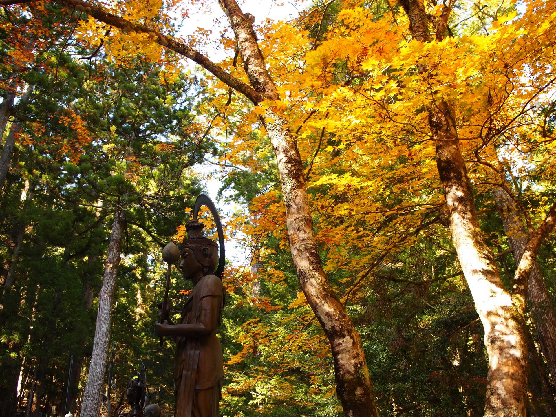 Japan’s Famous Pilgrimage Route | Where To Go