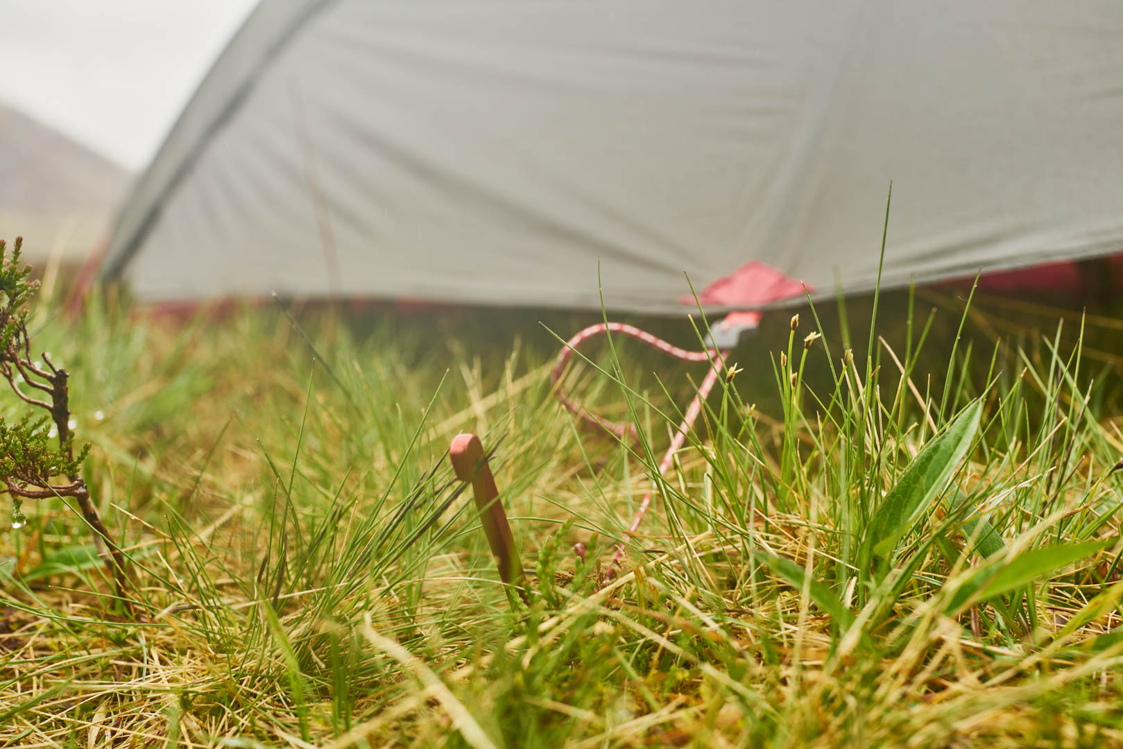 MSR FreeLite 2 Tent