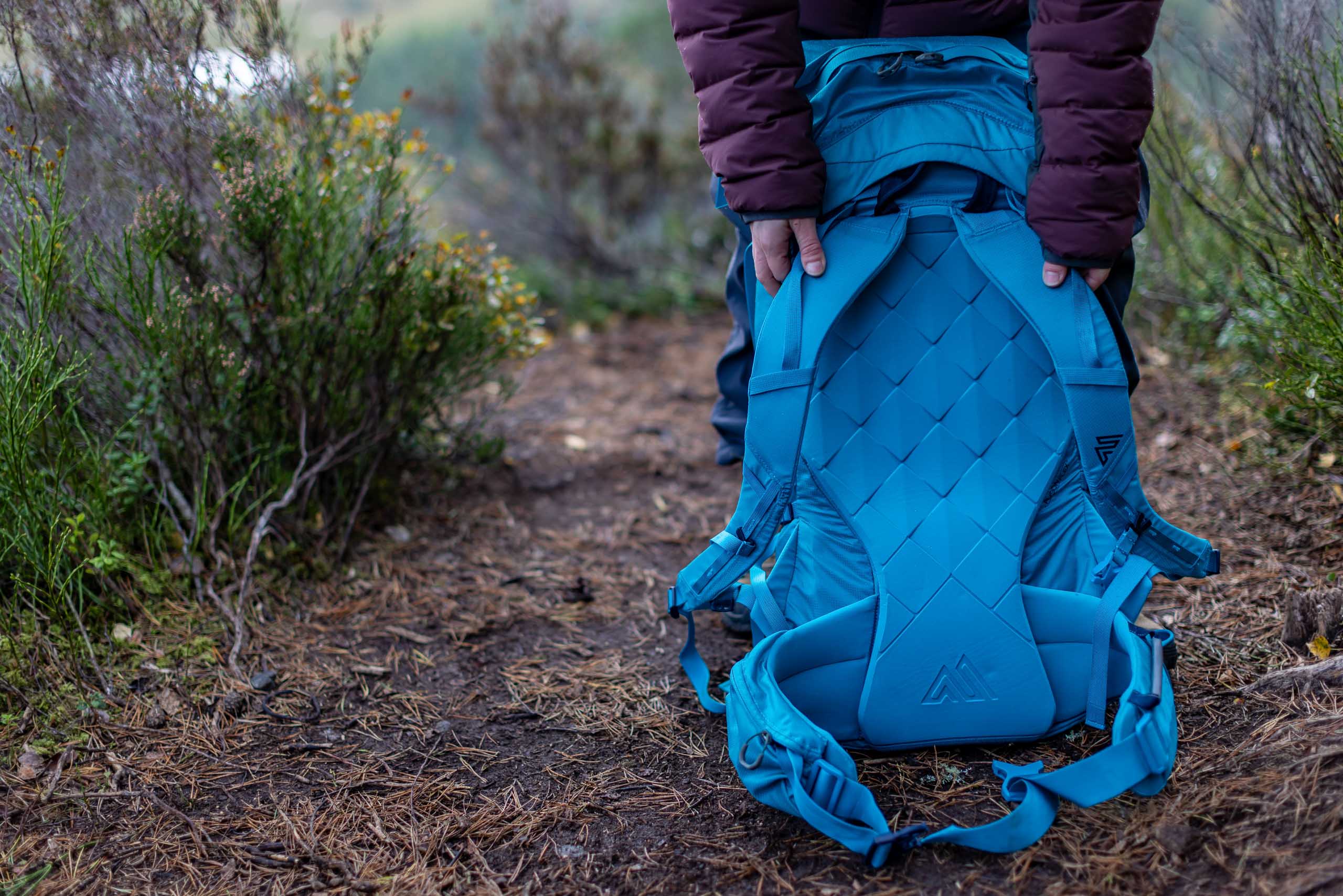 Gregory Alpinisto 35 Backpack Review