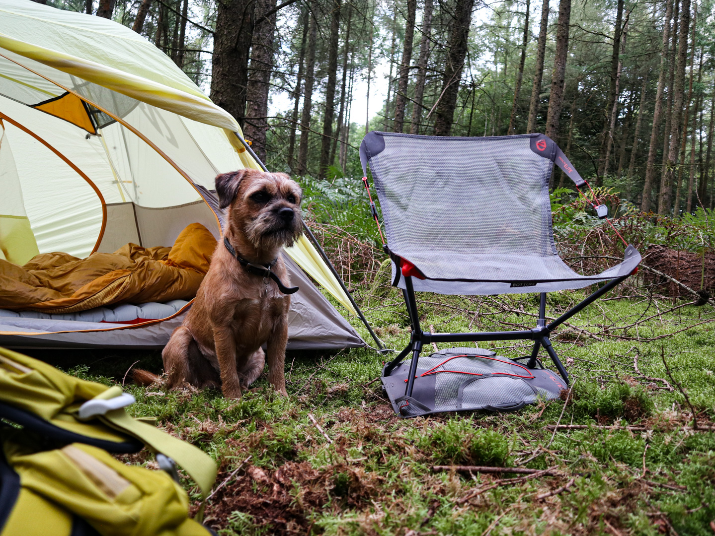 Clearance elite camping chairs Flash Sales