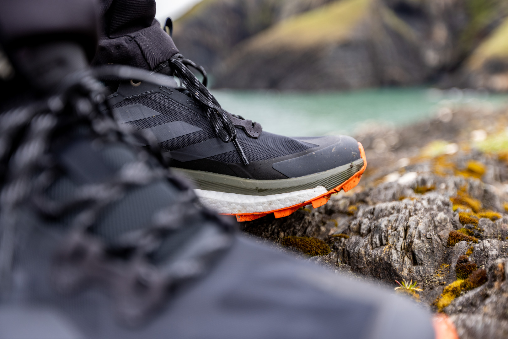 Adidas Terrex Free Hiker 2.0 low review