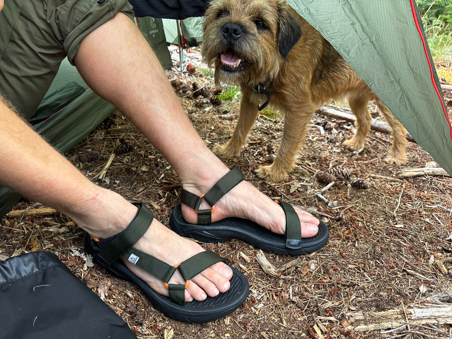 Passenger Monterey Roam Sandal review