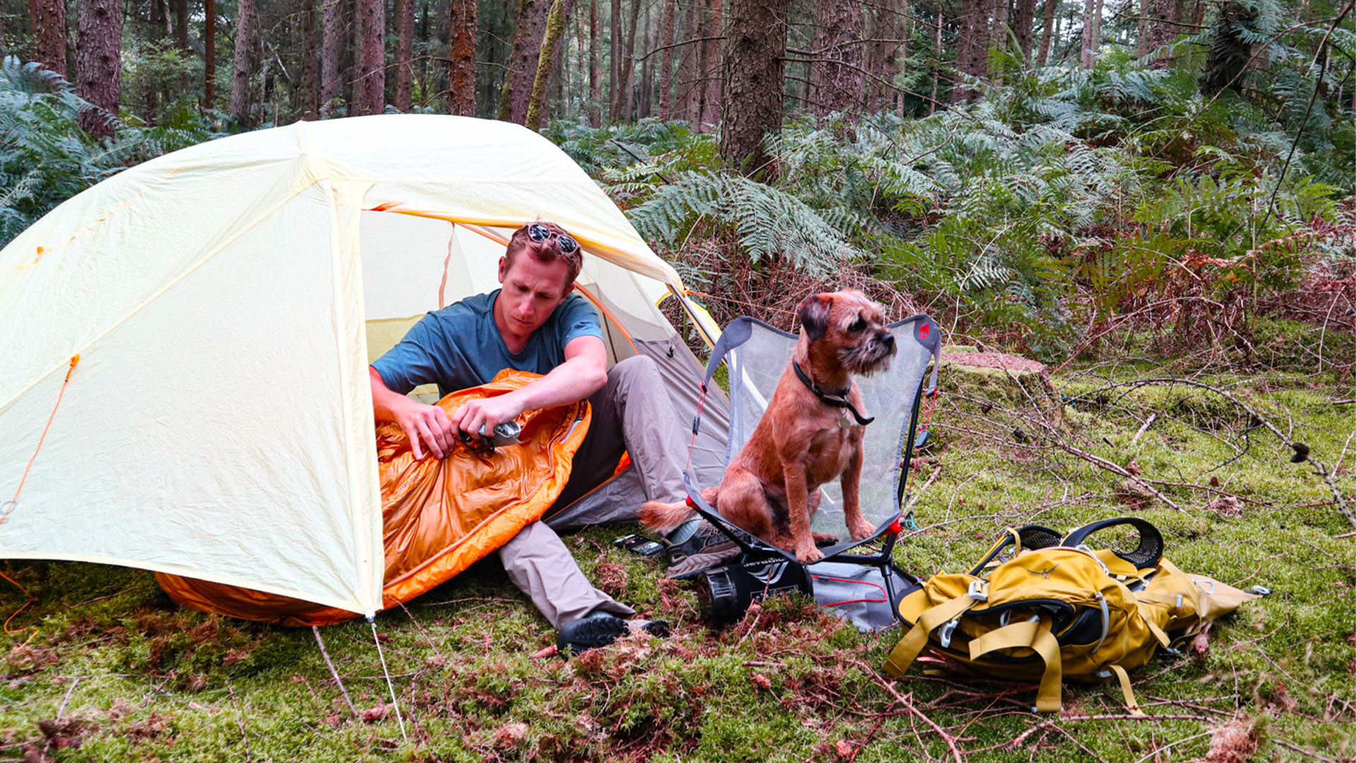 Elevate Your Outdoor Experience: The Best New Campin
