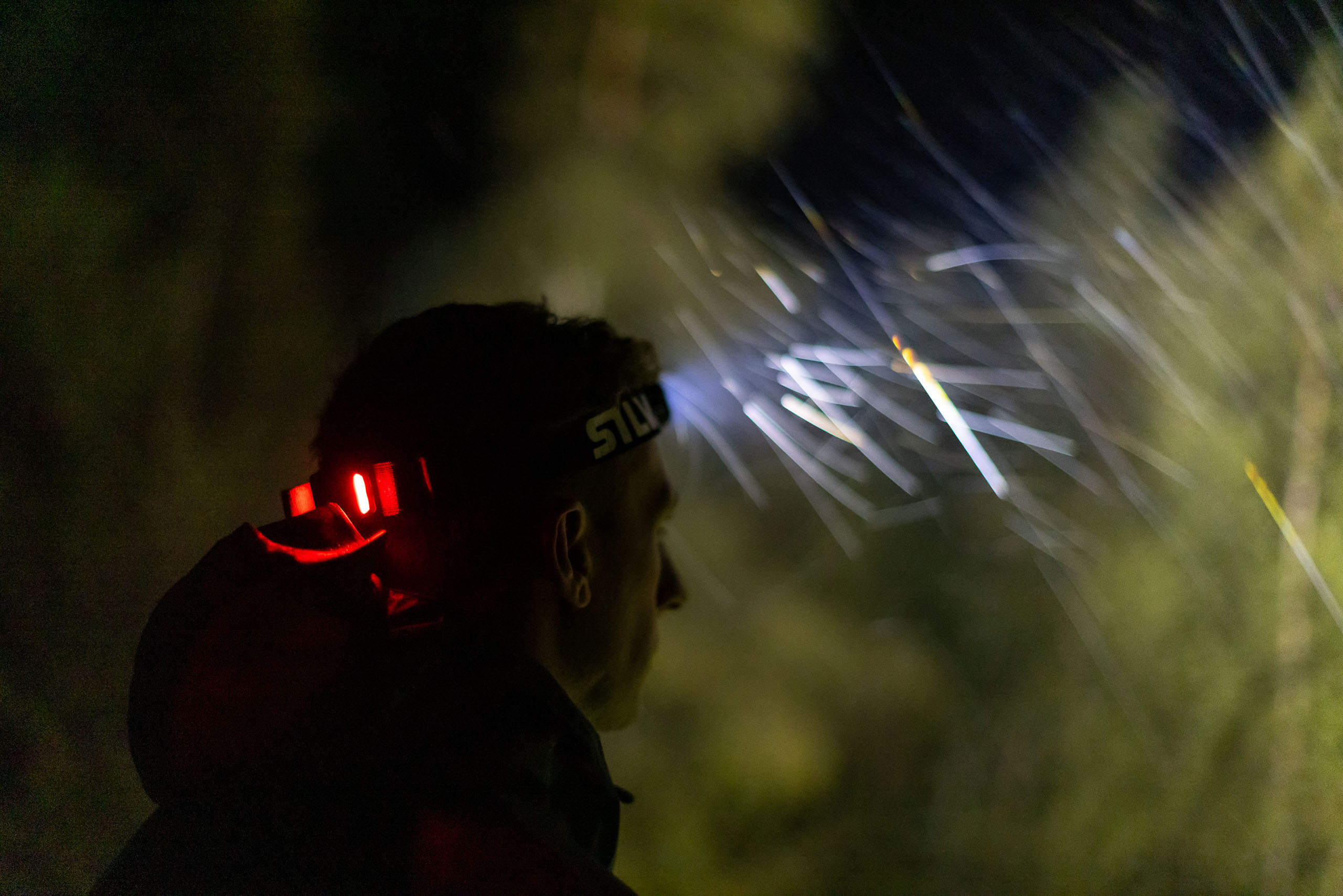 Silva Free Head Torch Review
