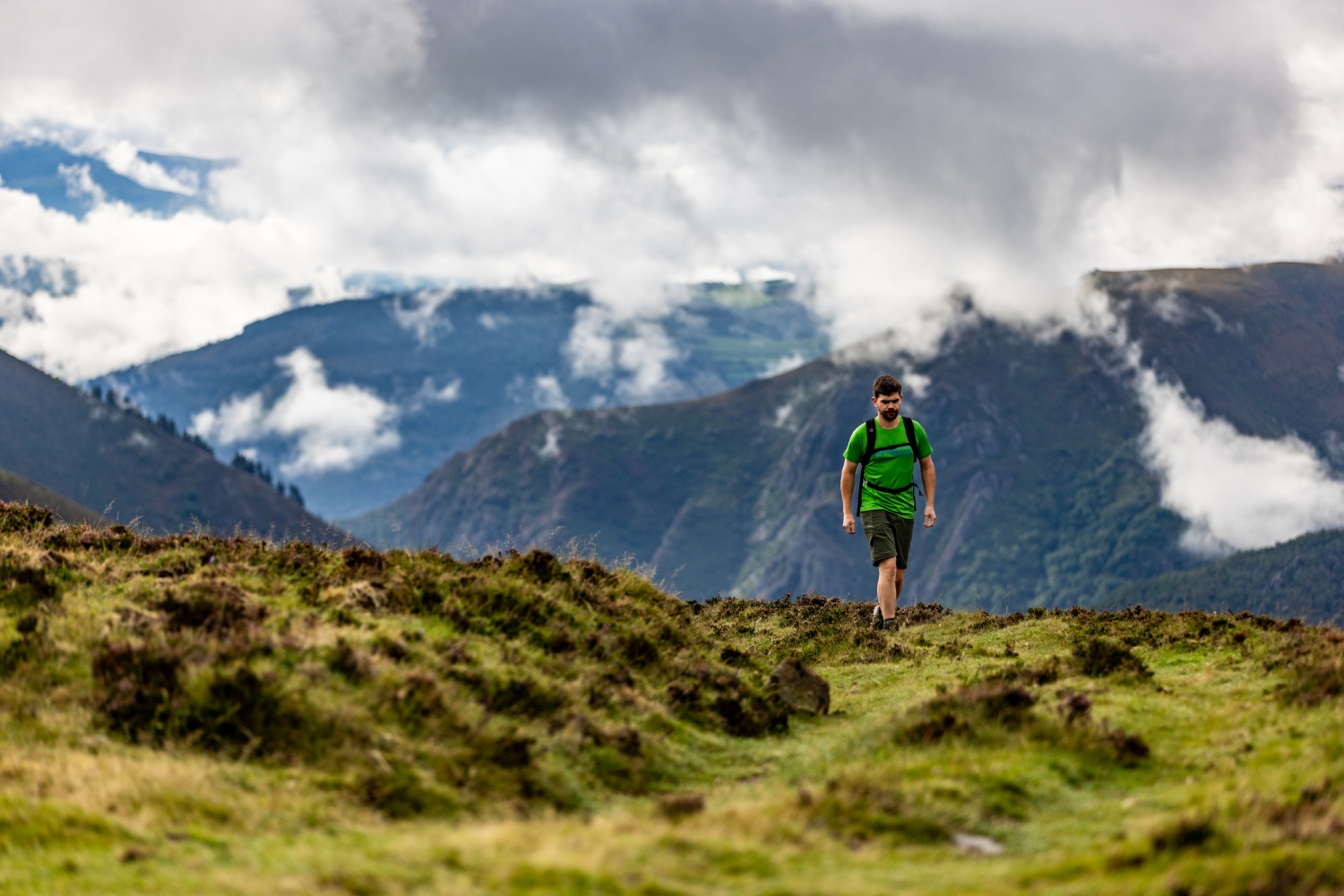 Adventure in Asturias Tracking Apex Predators