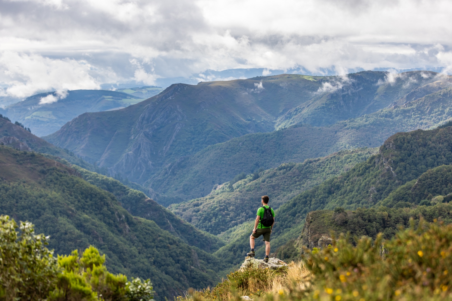 Adventure in Asturias Tracking Apex Predators