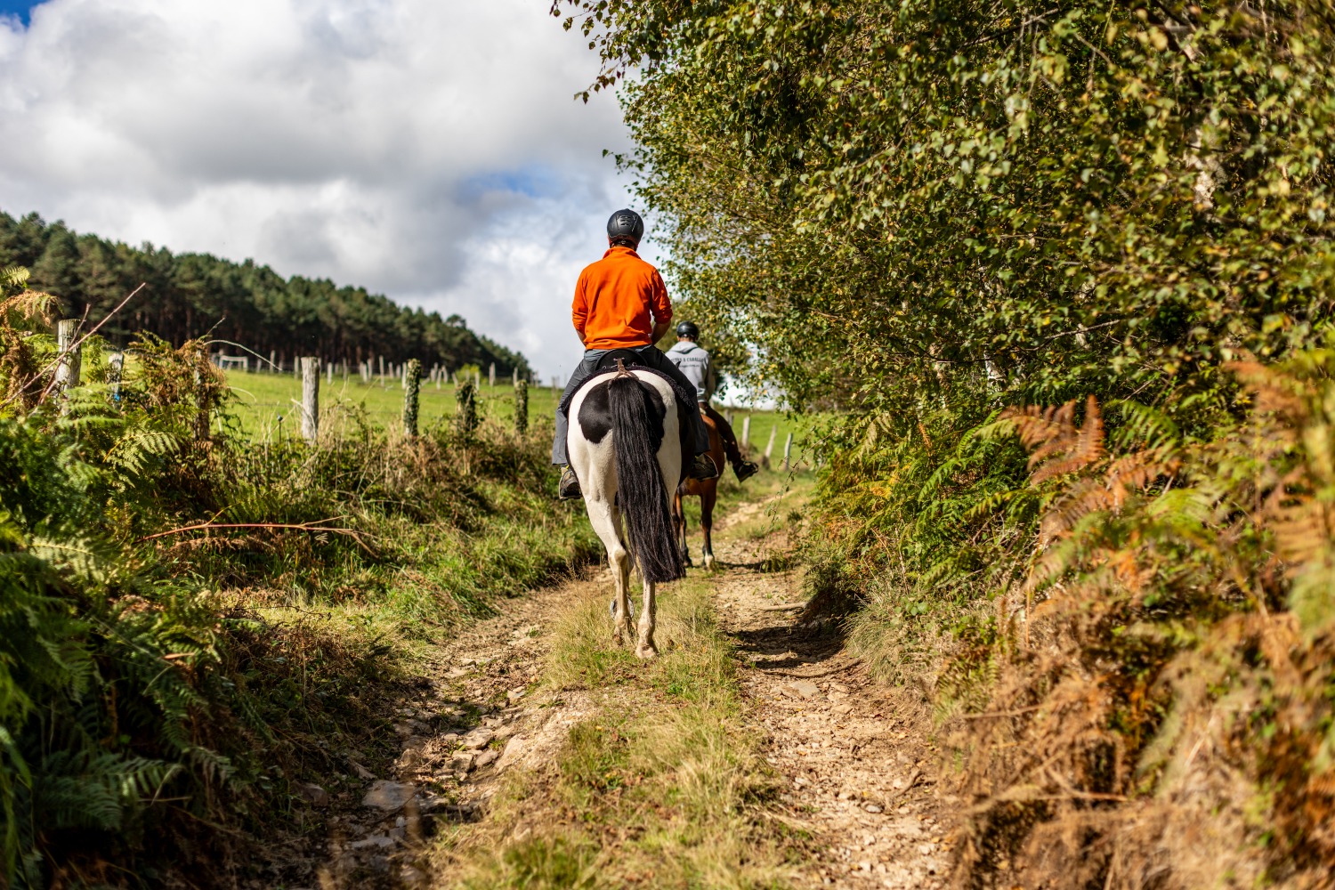 Adventure in Asturias Tracking Apex Predators