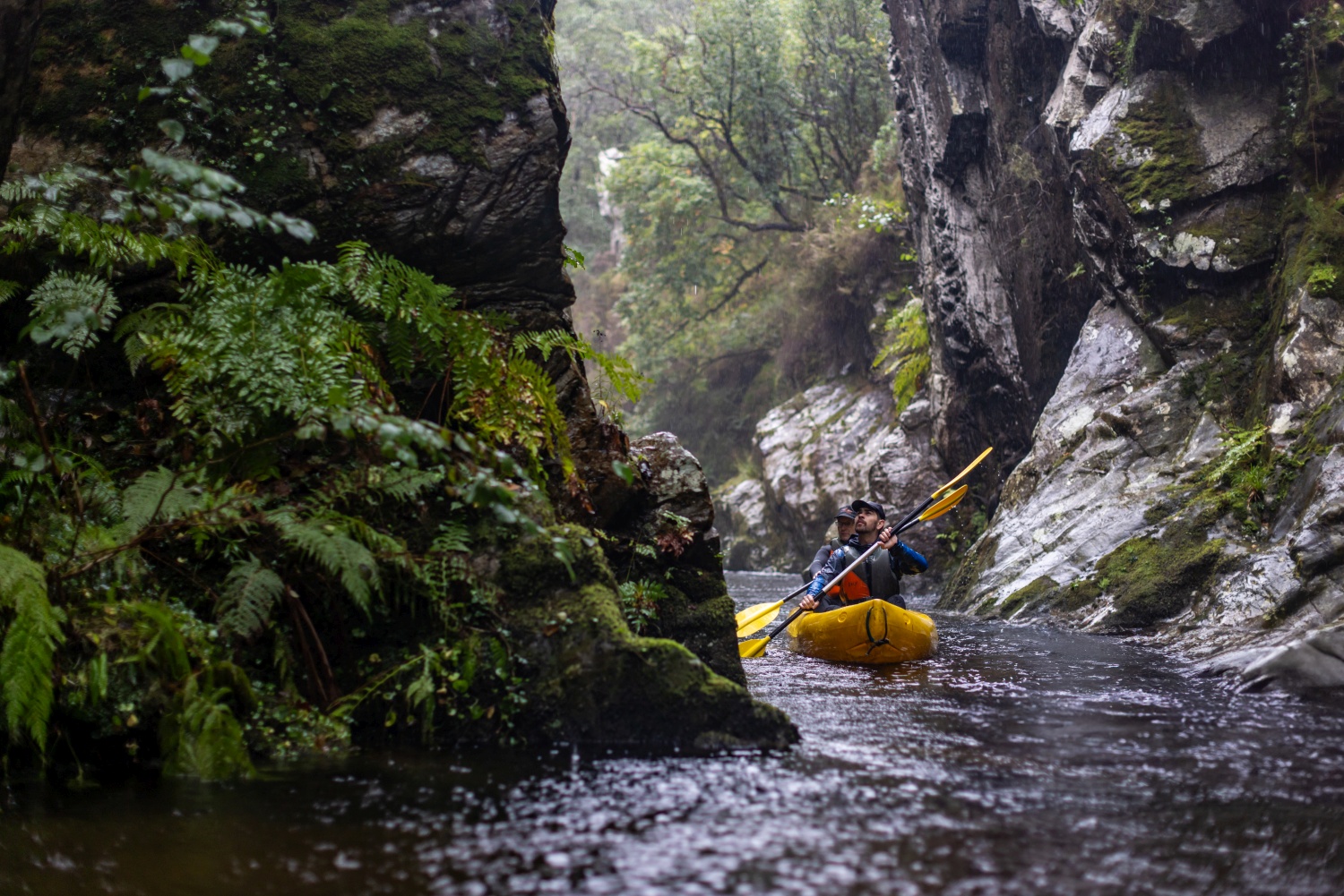 Adventure in Asturias Tracking Apex Predators