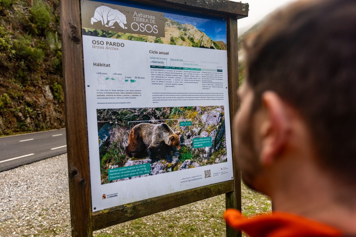 Adventure in Asturias Tracking Apex Predators