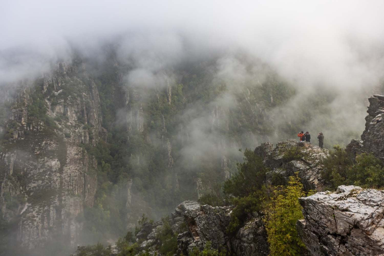Adventure in Asturias Tracking Apex Predators