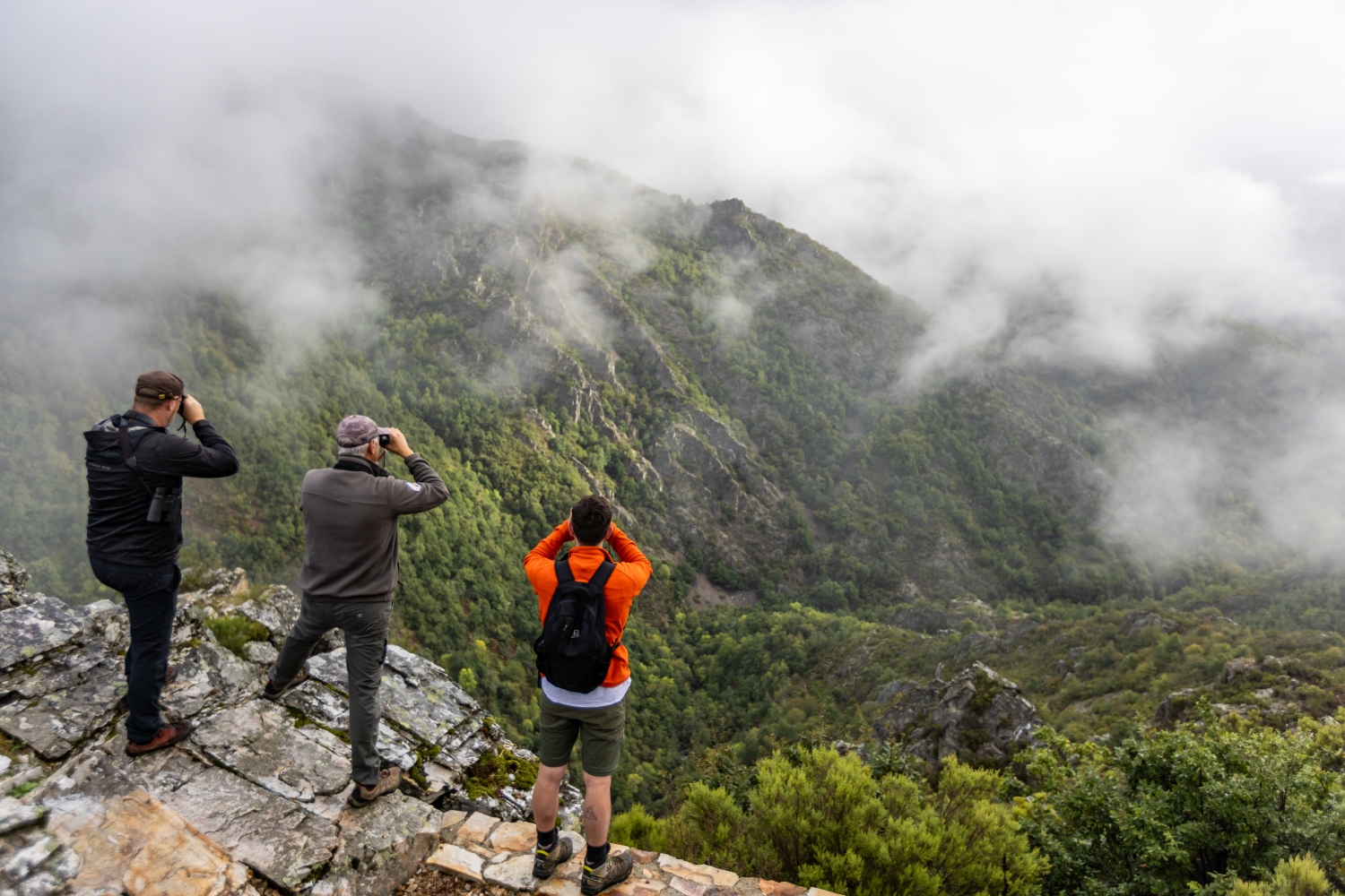 Adventure in Asturias Tracking Apex Predators