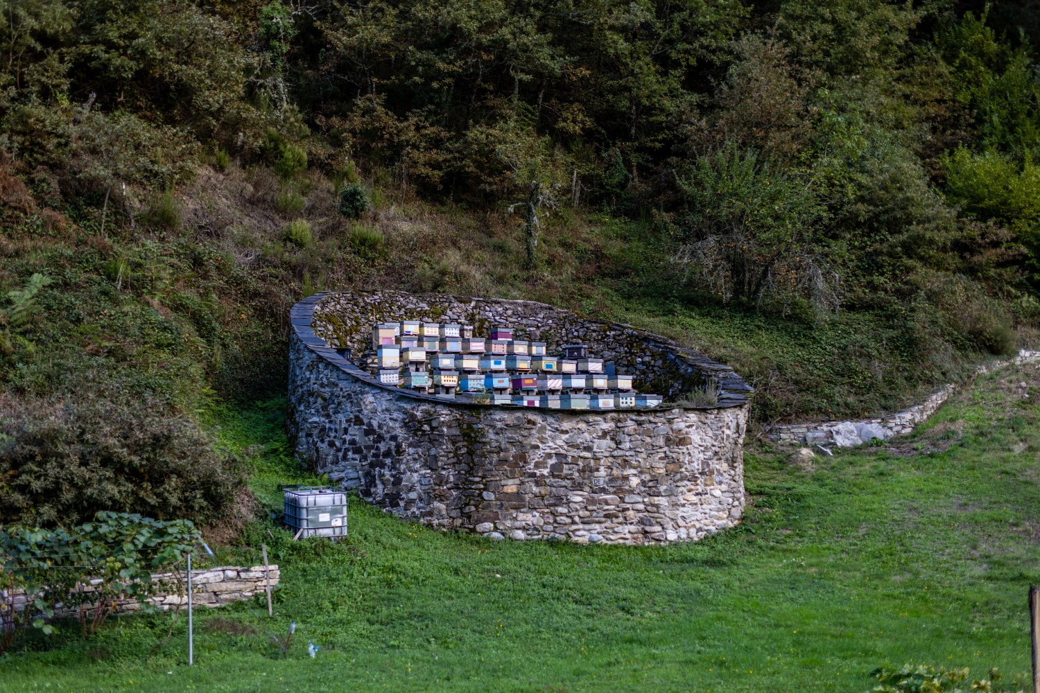 Adventure in Asturias Tracking Apex Predators
