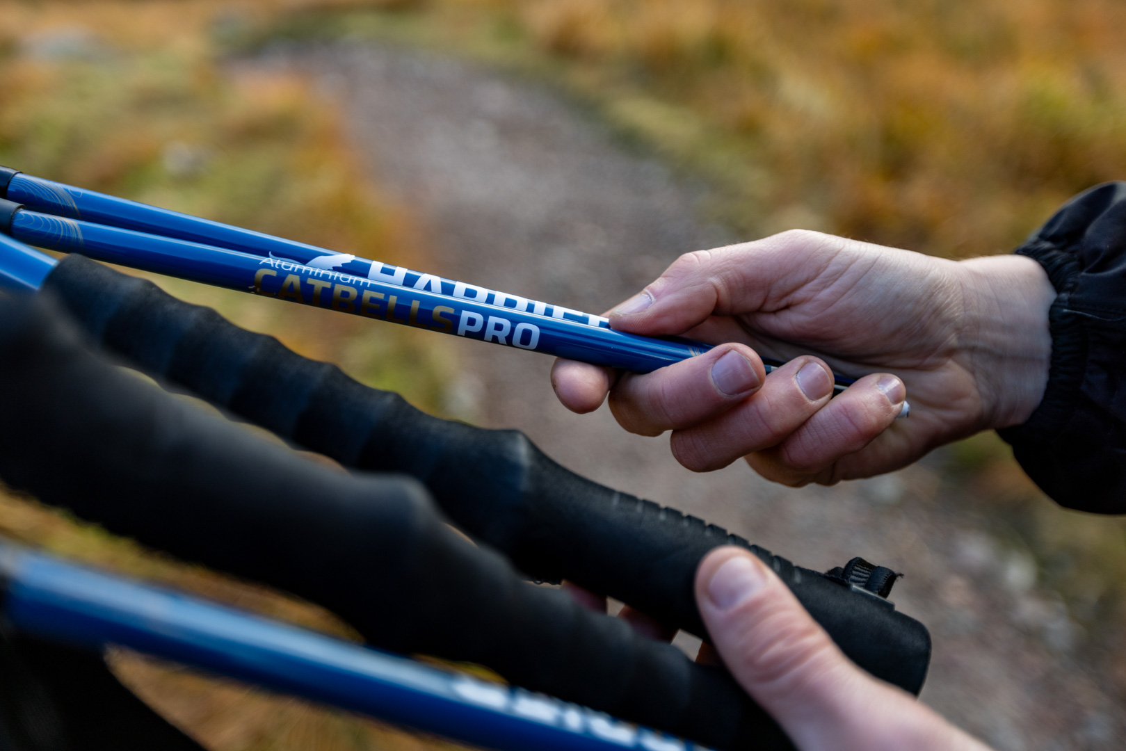 Harrier Catbells Pro review