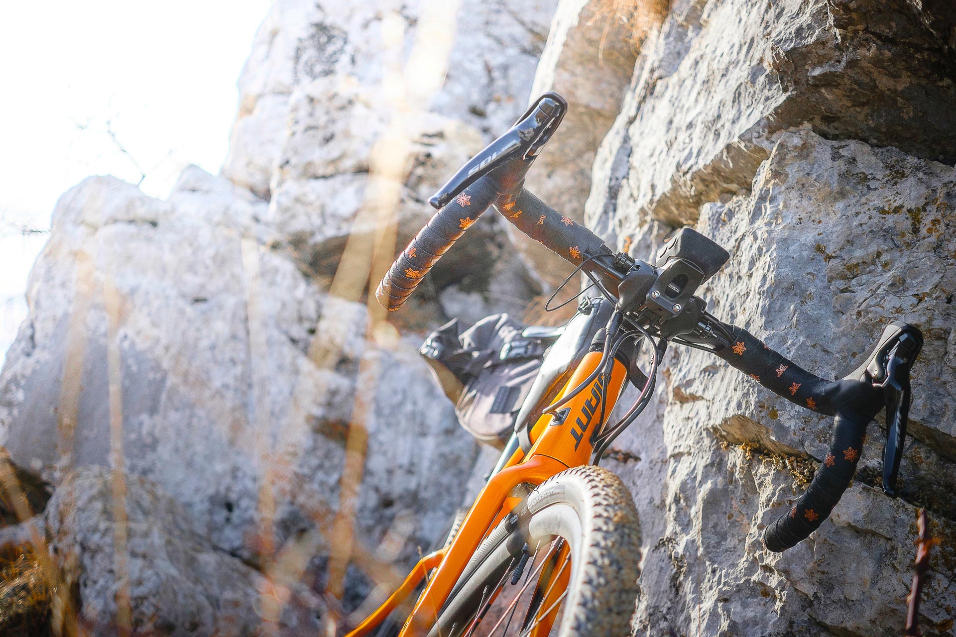 Best Bikepacking Bikes Reviewed