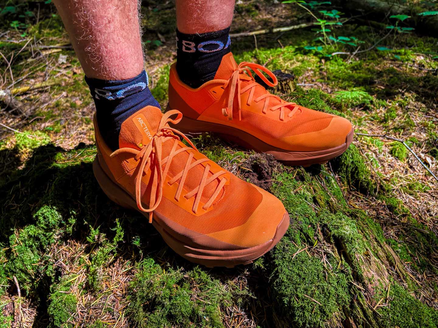 Arc'teryx Norvan LD4