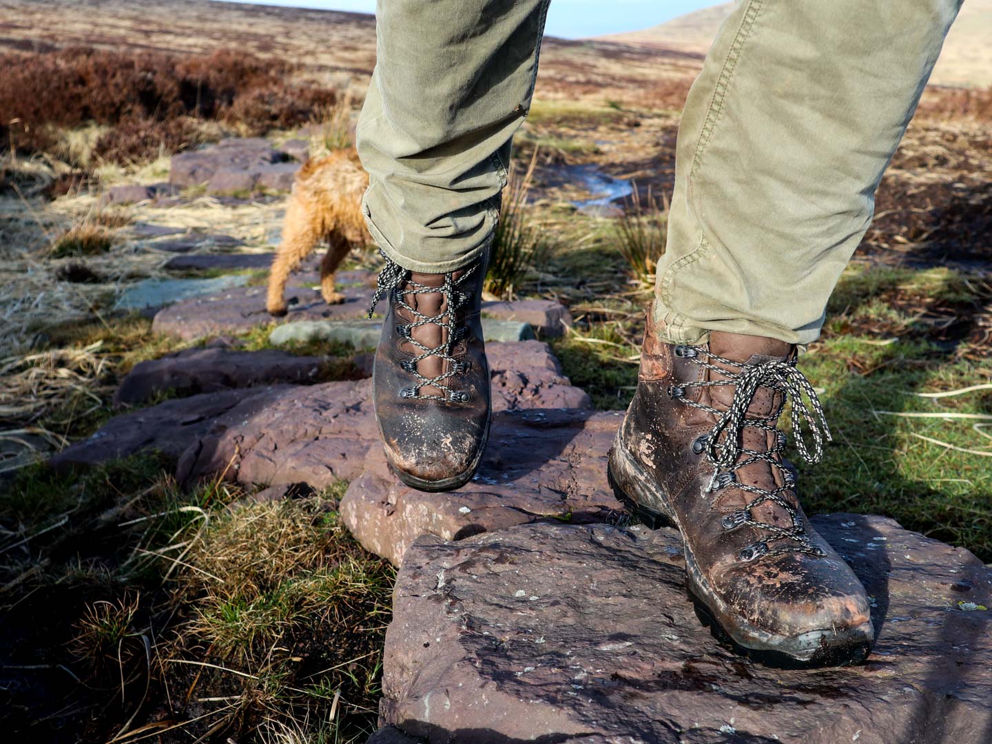Scarpa Terra GTX