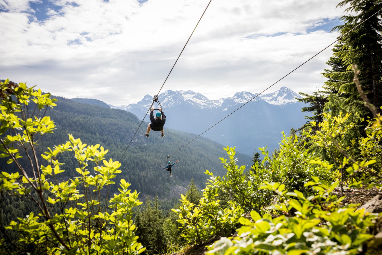 Superfly Ziplines Whistler
