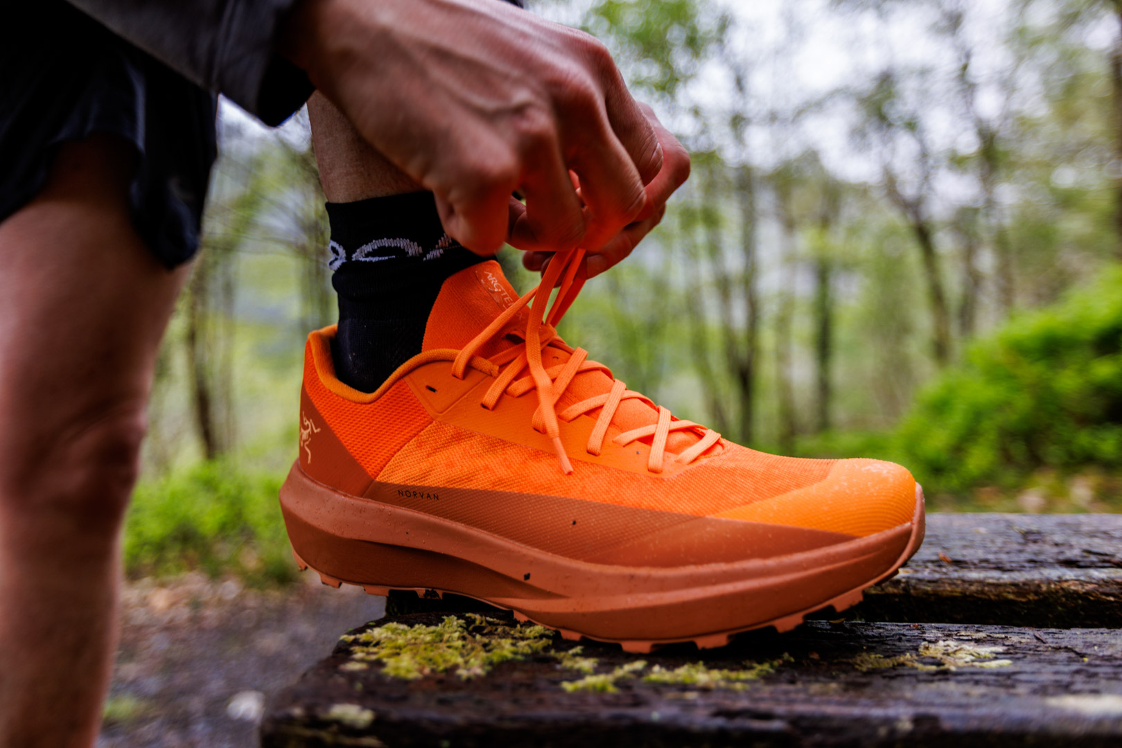Arc'teryx Norvan LD 4 | Review |