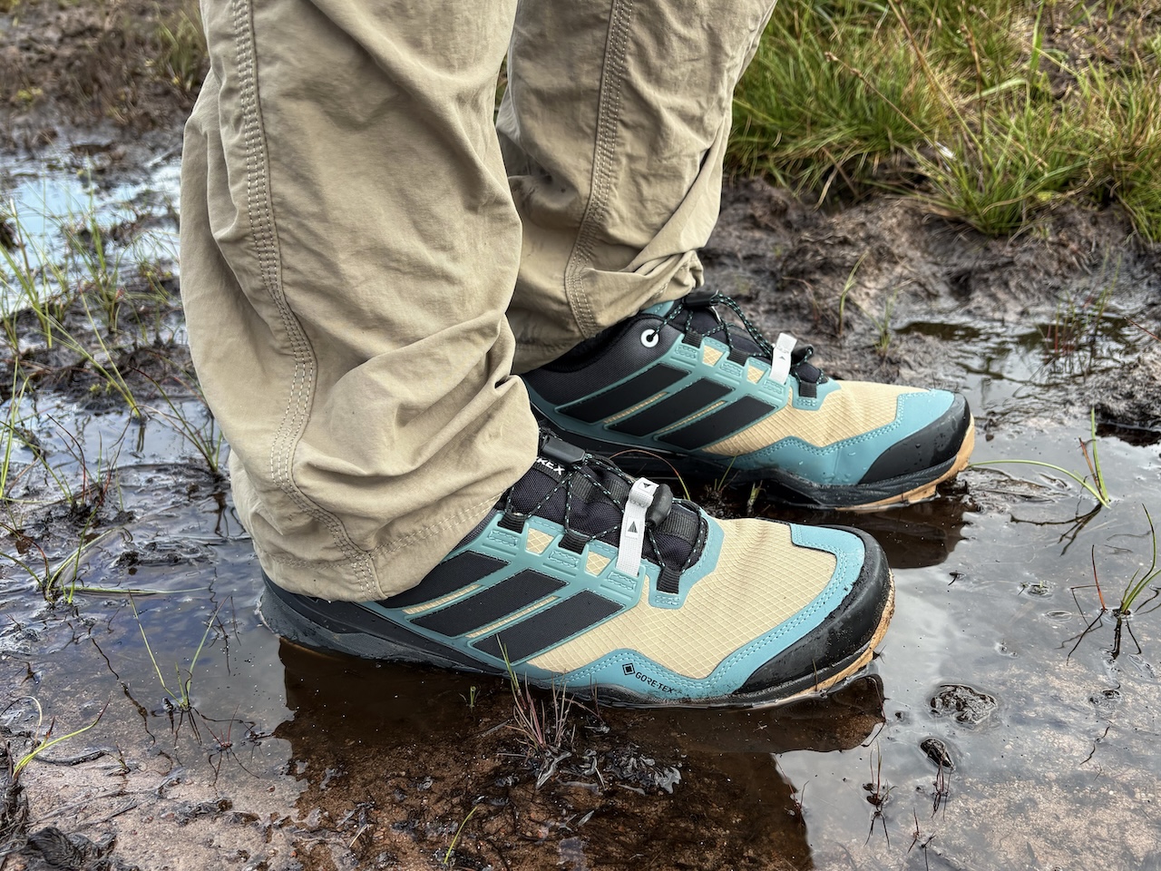 Adidas Terrex Skychaser GTX
