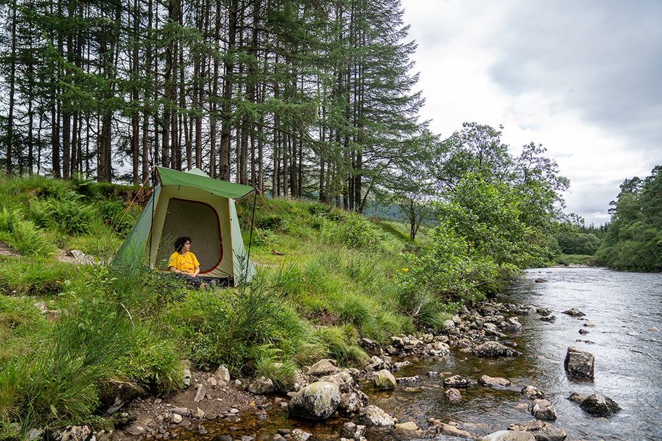 Coleman FastPitch Forest Lodge 4 Review