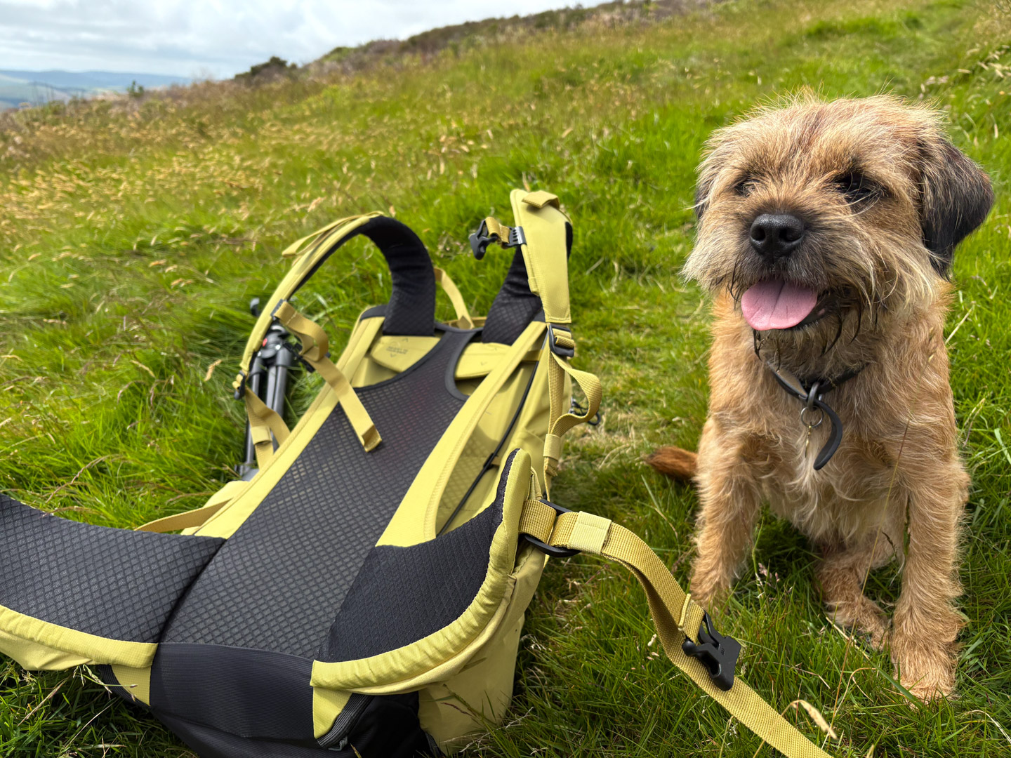 quechua mh500 25L backpack review