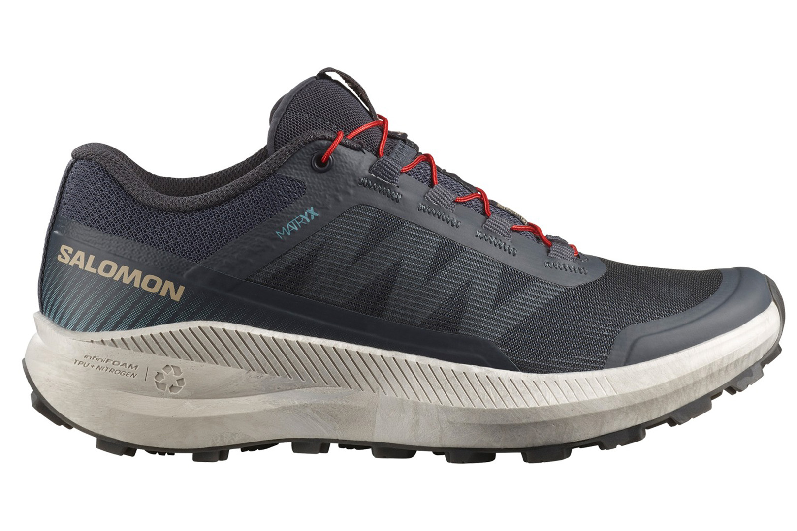 Salomon Vision Trail Shoe Review